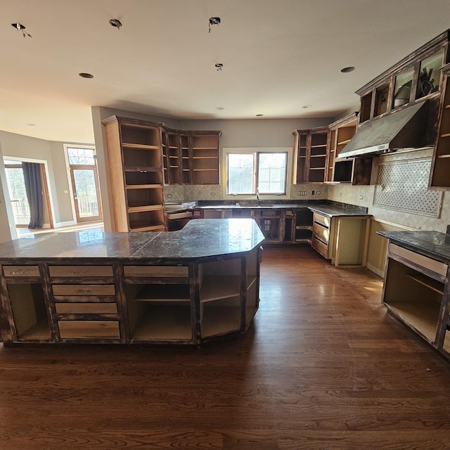 kitchen with ventilation hood, plenty of natural light, and dark hardwood / wood-style flooring