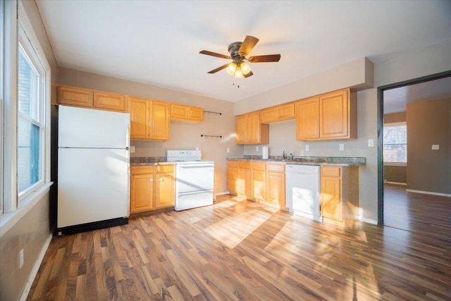 kitchen with white appliances, sink, hardwood / wood-style flooring, ceiling fan, and light brown cabinetry