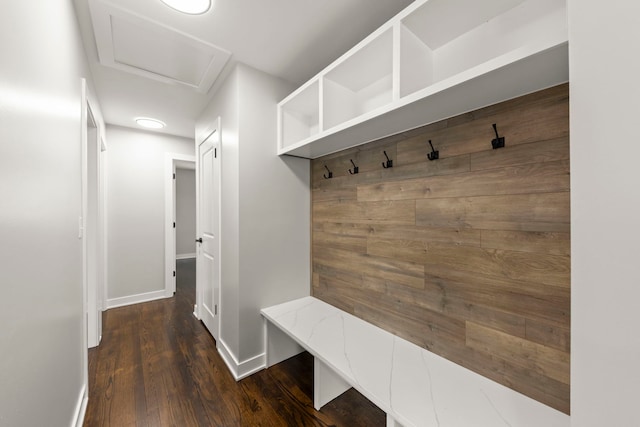 mudroom with dark wood-type flooring