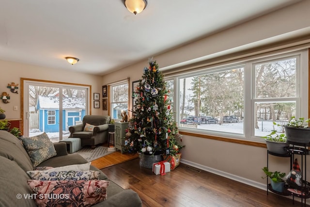 living room featuring dark hardwood / wood-style flooring and plenty of natural light