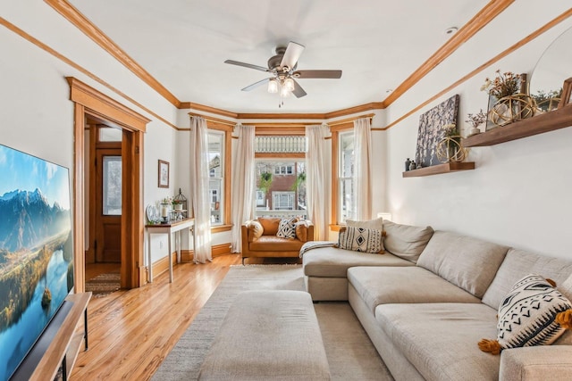 living room featuring light hardwood / wood-style floors, crown molding, and ceiling fan