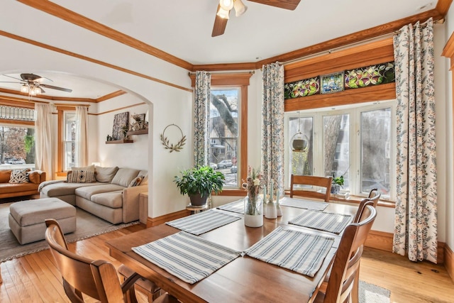 dining area with ceiling fan, crown molding, and light hardwood / wood-style flooring