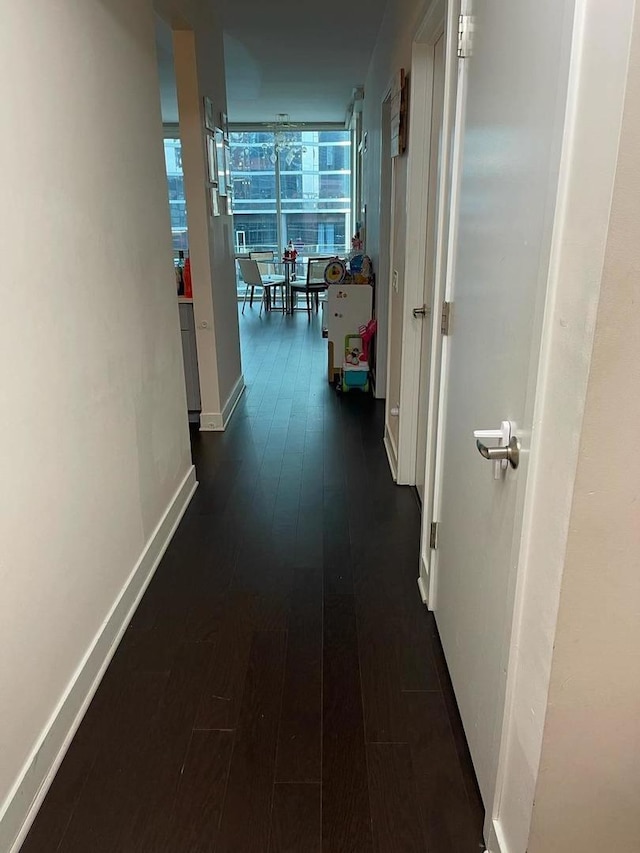 hallway featuring dark wood-type flooring