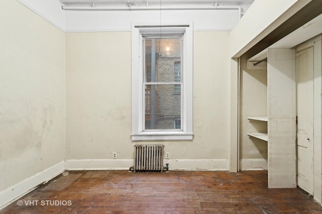 walk in closet featuring radiator and dark wood-type flooring