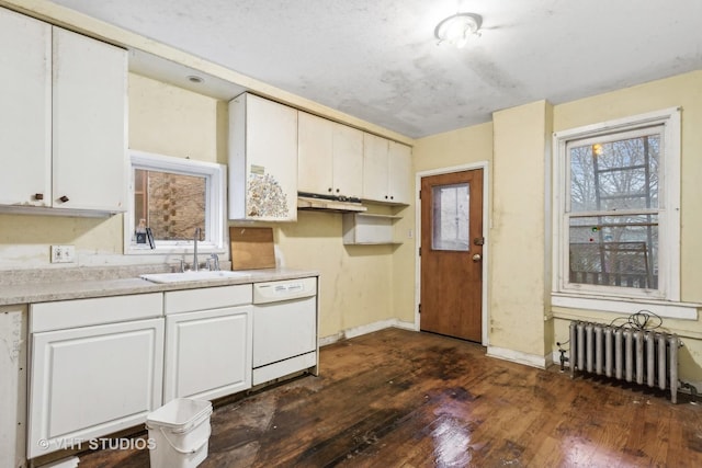 kitchen featuring white cabinets, radiator heating unit, white dishwasher, and sink