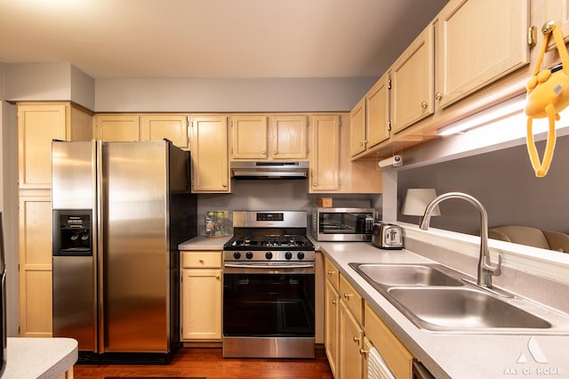 kitchen with dark hardwood / wood-style flooring, sink, and appliances with stainless steel finishes