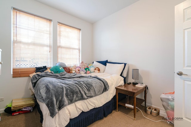 bedroom with carpet