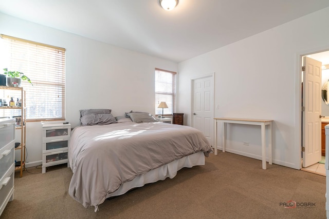 bedroom featuring carpet flooring and connected bathroom