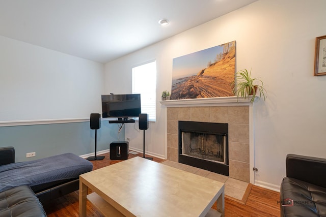 living room featuring wood-type flooring and a fireplace