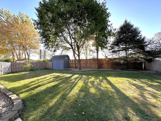 view of yard featuring a storage shed