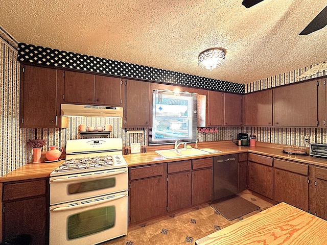 kitchen with dark brown cabinetry, dishwasher, sink, white range, and a textured ceiling