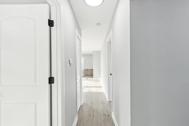 hallway featuring light wood-type flooring