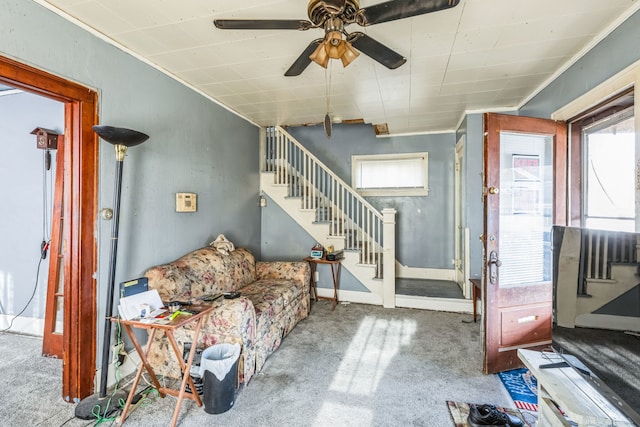 living room with ceiling fan, crown molding, and carpet