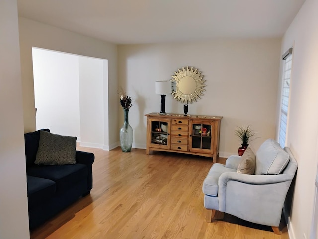 living room with light wood-type flooring