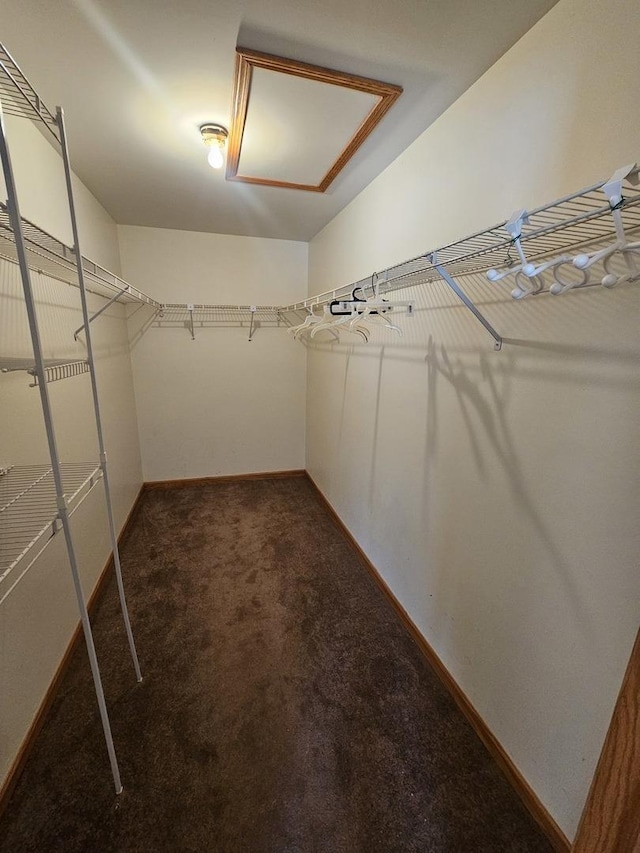 spacious closet with dark colored carpet