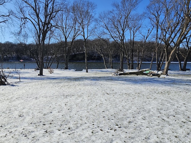 yard layered in snow featuring a water view