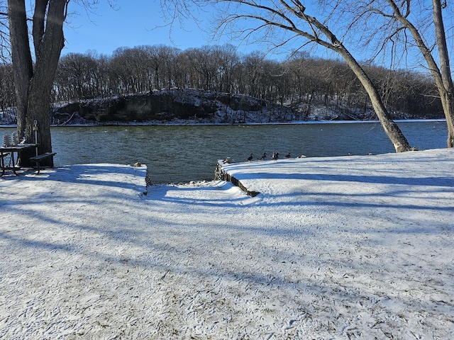 view of water feature