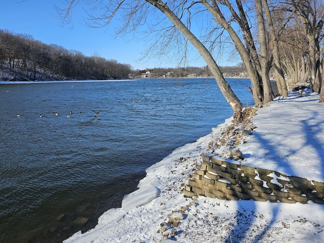 property view of water