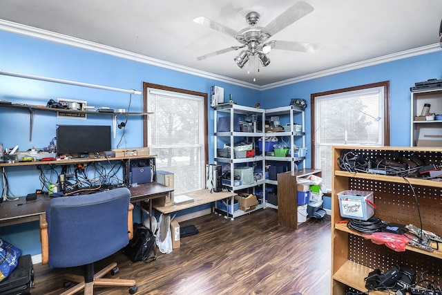 office space with dark hardwood / wood-style flooring, ceiling fan, and ornamental molding