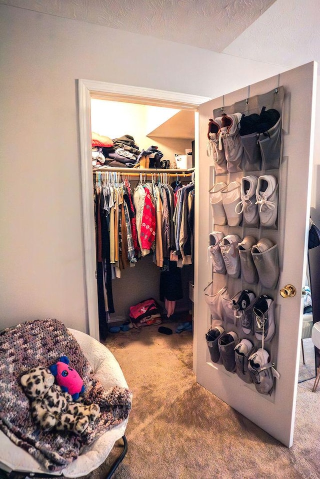 walk in closet with carpet