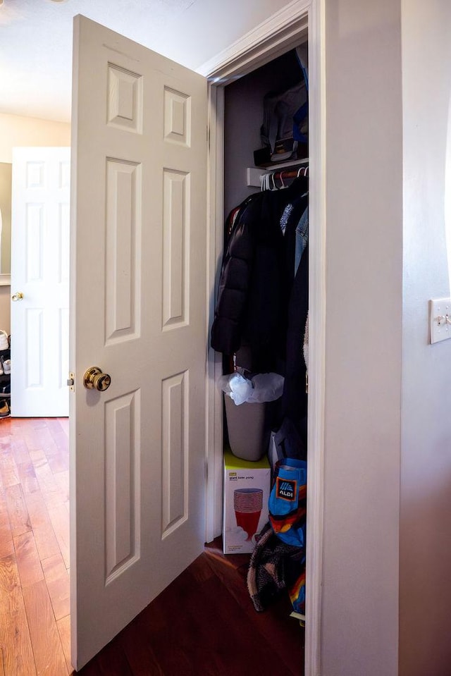 view of closet