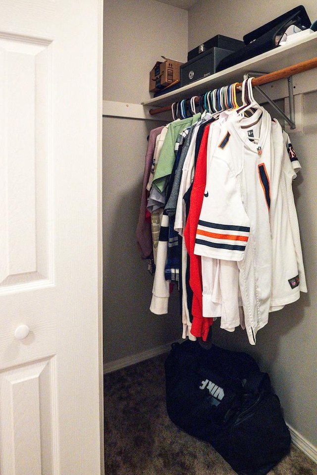 view of closet