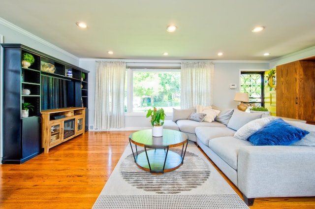 living room with crown molding and light hardwood / wood-style flooring