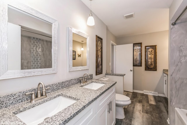 bathroom with hardwood / wood-style flooring, vanity, and toilet