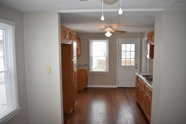 entryway featuring a textured ceiling, dark hardwood / wood-style flooring, ceiling fan, and a healthy amount of sunlight