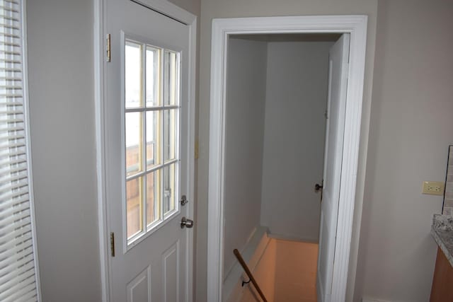 entryway with plenty of natural light