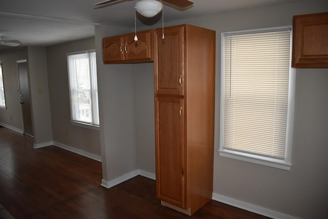 kitchen featuring a textured ceiling, dark hardwood / wood-style flooring, and ceiling fan