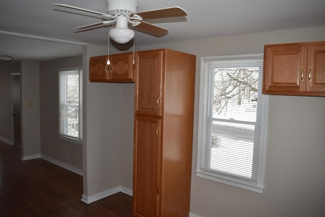 kitchen with ceiling fan and dark wood-type flooring