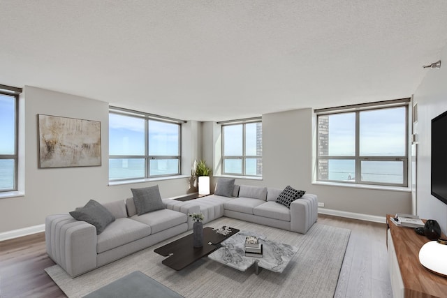 living room featuring hardwood / wood-style floors, a textured ceiling, and a wealth of natural light