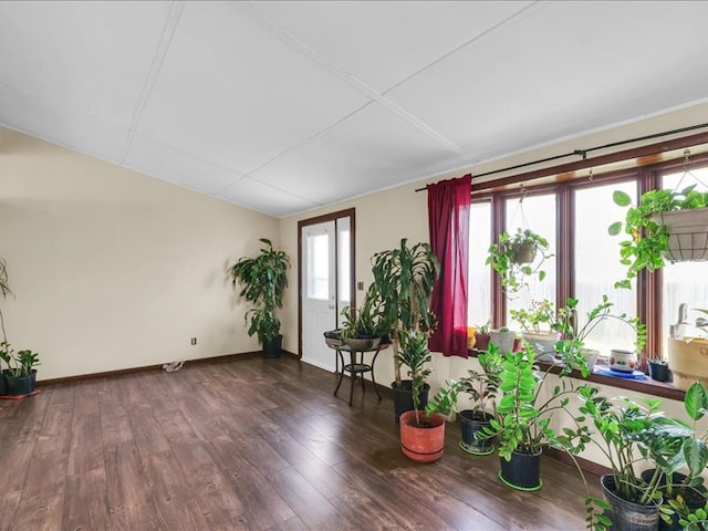 unfurnished room featuring a healthy amount of sunlight and dark hardwood / wood-style floors