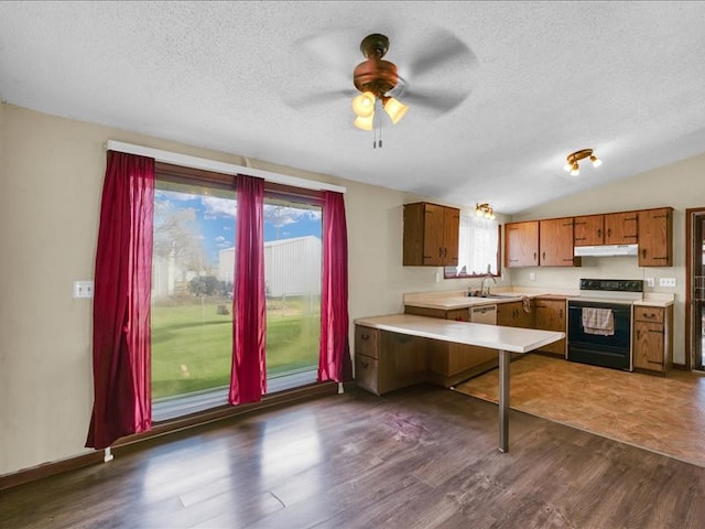 kitchen with ceiling fan, sink, dark hardwood / wood-style flooring, white range with electric stovetop, and vaulted ceiling