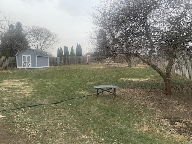 view of yard with a shed