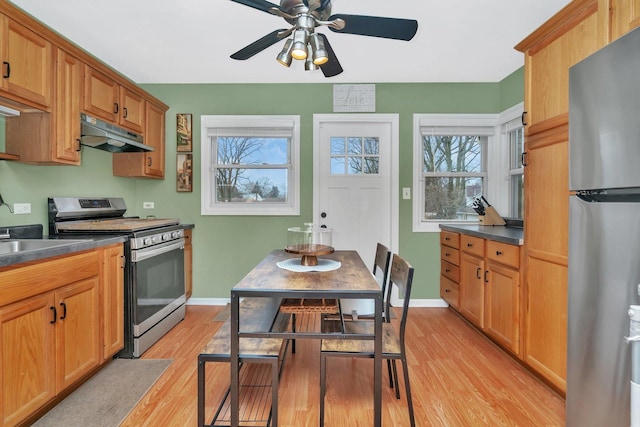 kitchen featuring ceiling fan, sink, stainless steel appliances, and light hardwood / wood-style flooring