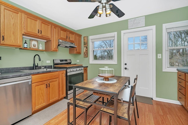 kitchen with stainless steel appliances, ceiling fan, light hardwood / wood-style floors, and sink