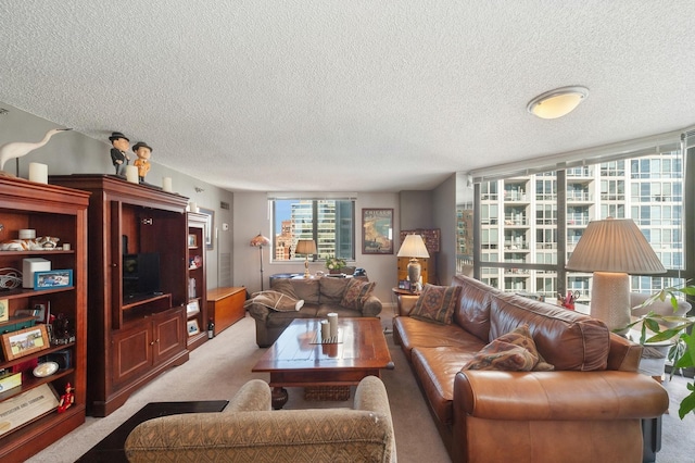 living room featuring a textured ceiling and light carpet