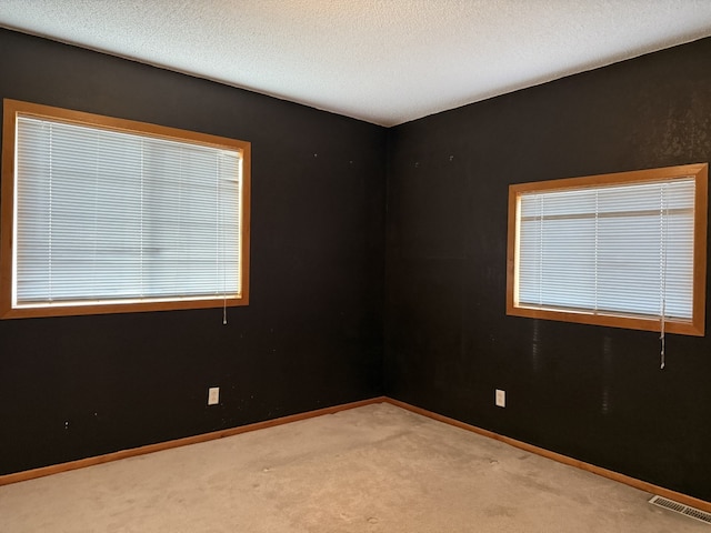 spare room with a textured ceiling and light carpet