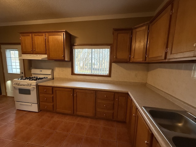 kitchen featuring white gas stove, dark tile patterned flooring, plenty of natural light, and sink