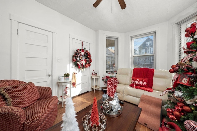 living room featuring wood-type flooring, a textured ceiling, and ceiling fan