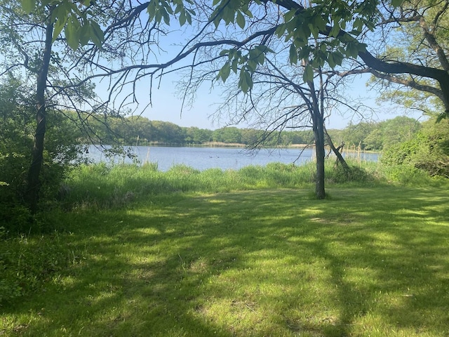 1903 Richton Rd, Steger, IL 60475 - water view featuring a forest