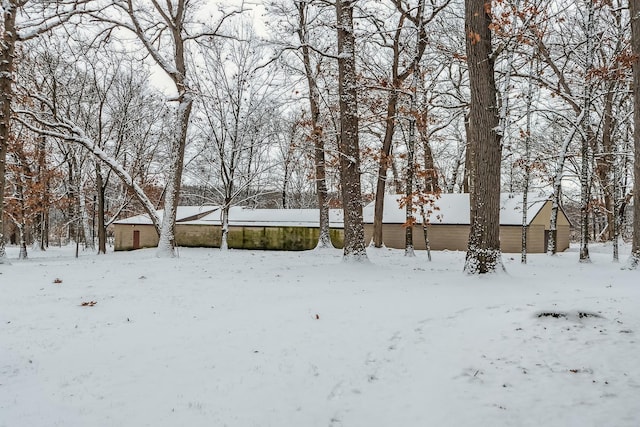 1903 Richton Rd, Steger, IL 60475 - view of yard layered in snow