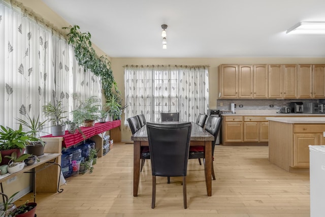 dining room with light hardwood / wood-style flooring