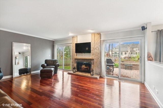 living room with wood-type flooring, a fireplace, and baseboards