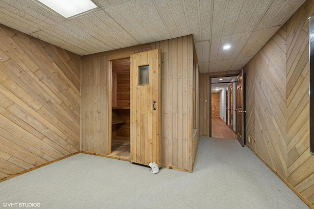 corridor featuring carpet and wood walls