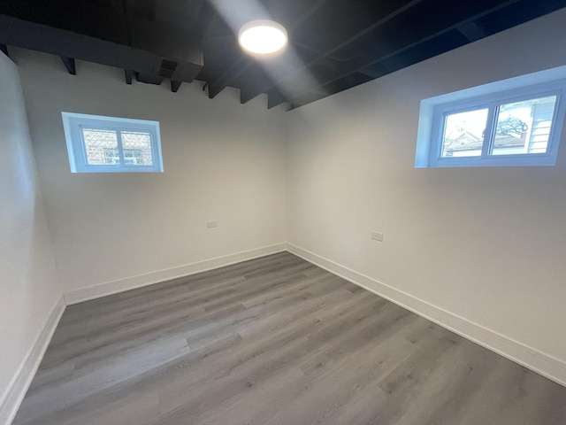 basement featuring hardwood / wood-style flooring