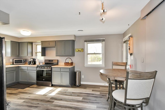 kitchen with a healthy amount of sunlight, light wood-type flooring, and stainless steel appliances