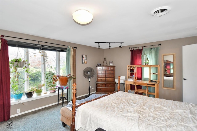 bedroom with rail lighting and dark carpet